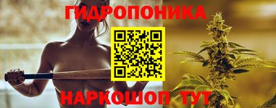 a pvp Аргун