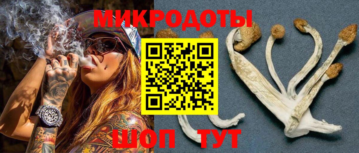 Воткинск  Псилоцибиновые грибы MAGIC MUSHROOMS  Вход с VPN  Галлюциногенные грибы Psilocybe 